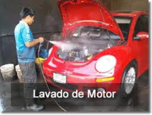 SERVICIO DE LIMPIEZA GENERAL  PARA VEHICULOS