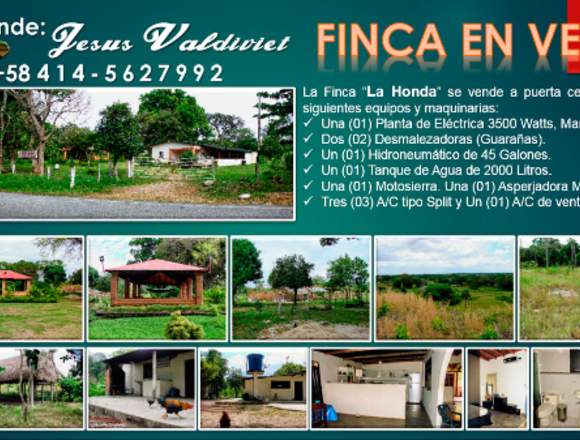 venta FINCA LA HONDA