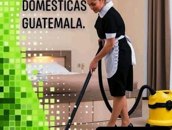Servicios domésticos 
