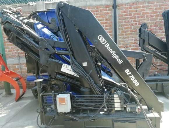 Bonfiglioli 7500 De 3.5 Toneladas Grúas Laycon