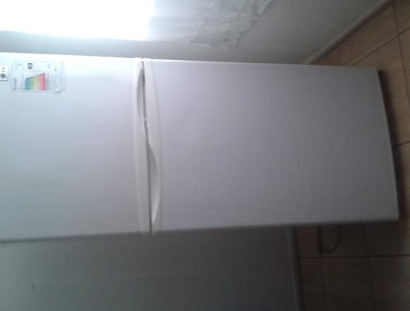 Refrigerador LG Nofrost amplio friser