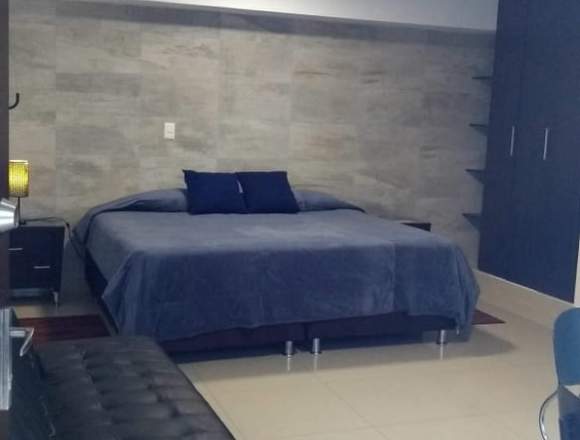 apartamentos tipo loft amoblados