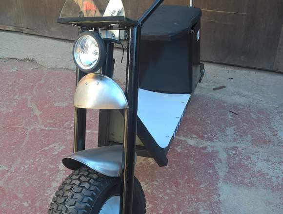 Moto eléctrica scooter, HECHA EN MEXICO, 