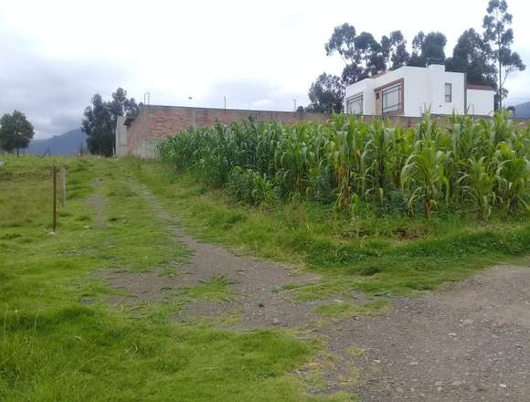 TERRENO PLANITO DE VENTA EN RIÓ AMARILLO 