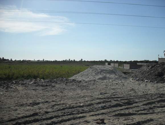 Vendo Terreno En Pisco En La Zona De Pampa De Ocas