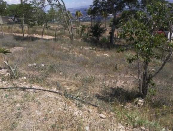 TERRENO CERCADO MANZANO BELLO MONTE NORTE LARA