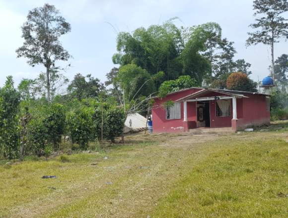 venta de finca en santo domingo