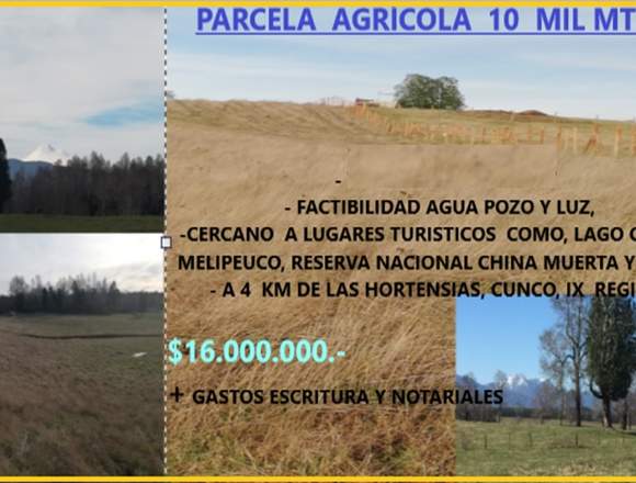 venta parcela agrícola 1 hectárea 