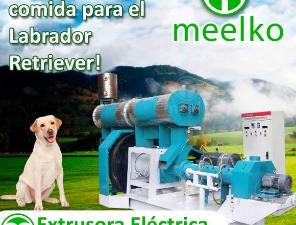 Extrusora eléctrica MKEW200B