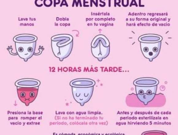 copa menstrual  Arequipa 917008427