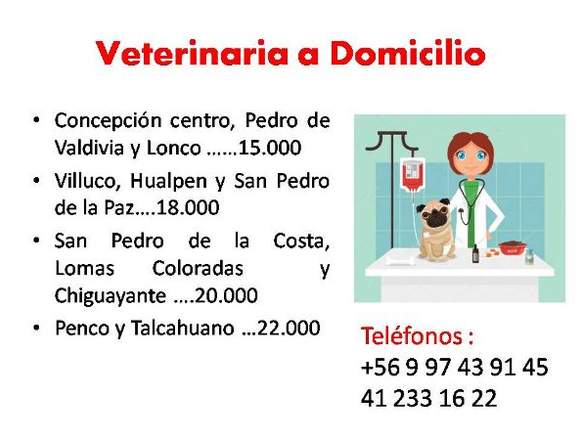 Veterinaria a Domicilio