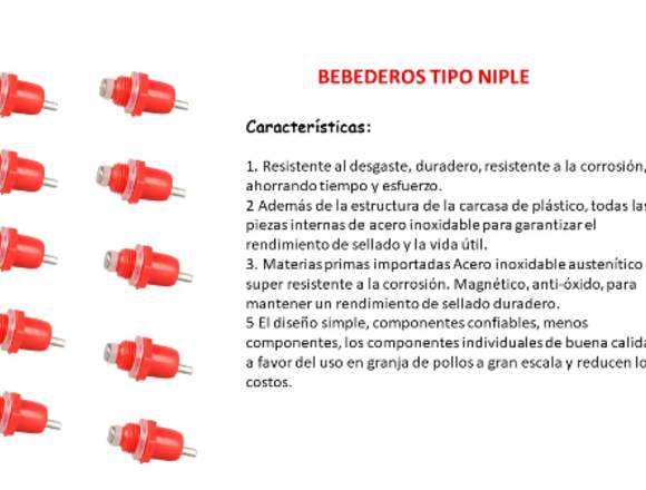 Bebederos tipo niple para gallinas y aves 