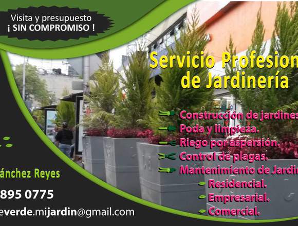 Servicio Profesional de Jardinería