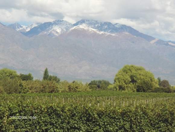 Chacra,con Bodega a restaurar 44 hta