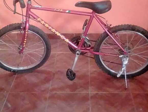 Bicicleta Montañera rin 21 