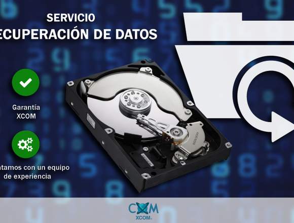 Servicio de Recuperación de Datos