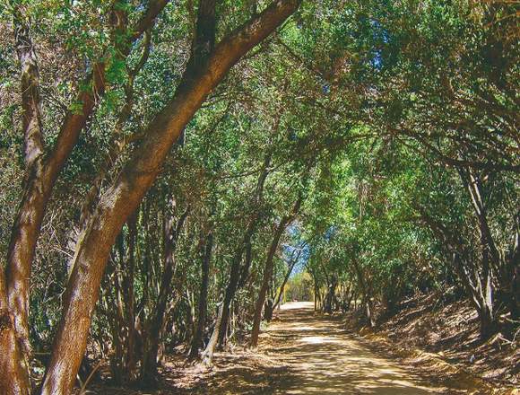 parcelas con ROL propio en Valle las Mellizas