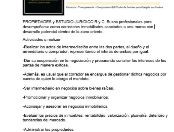 Agente Inmobiliario 