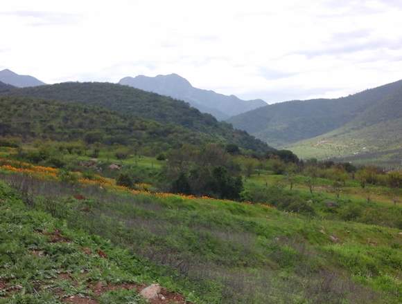 Parcelacion Rincon de las Aguilas