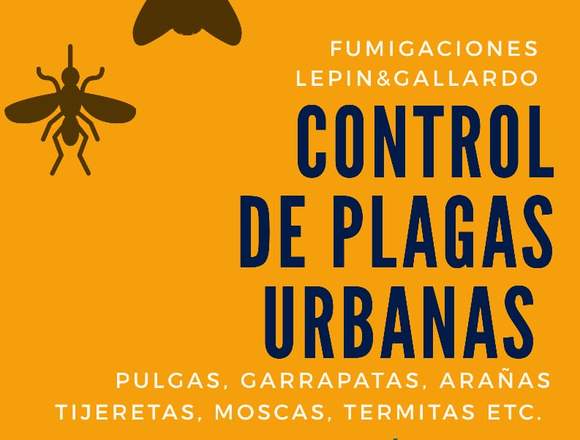 Control de plagas urbanas, pulgas. 