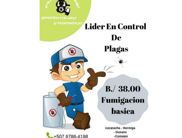 Servicio de fumigacion y control de plagas 