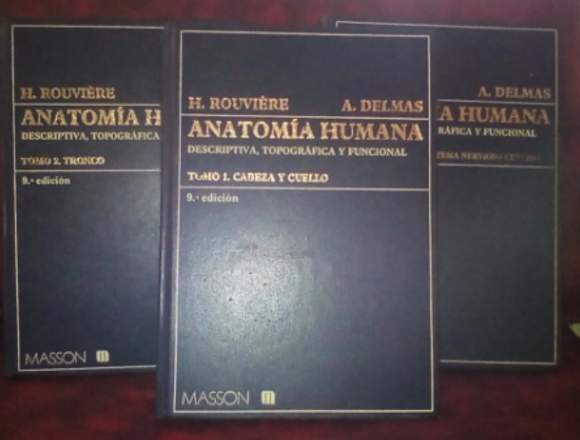 REMATO Anatomia Humana Rouviere 9na edición