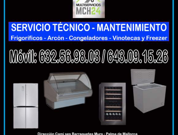 ASISTENCIA TÉCNICA DE VINOTECAS Y FREEZER