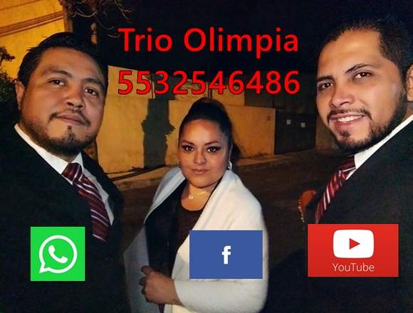 contratacion de trios musicales estado de mexico