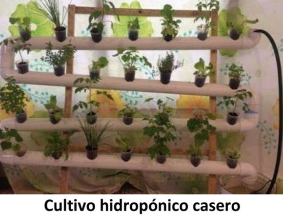 Cultivo hidropónico casero/industrial