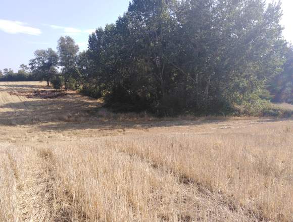 se vende 4 hectáreas terreno chileno