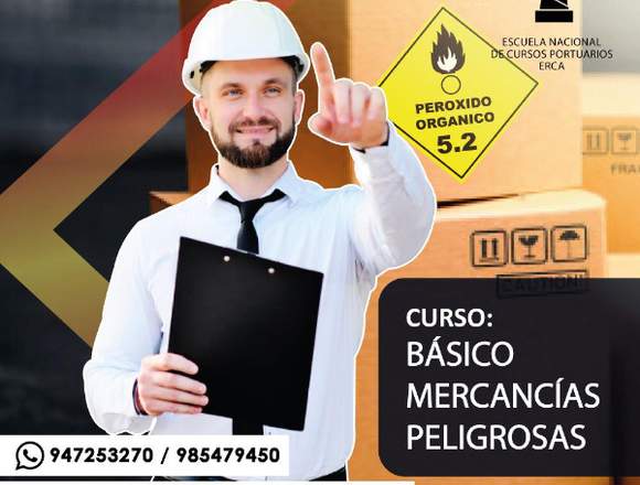 ERCA CURSO BASICO DE MERCANCIA PELIGROSA