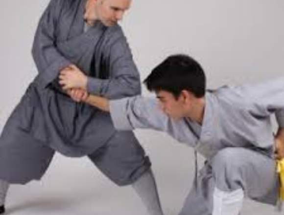 Clases de artes MARCIALES CLASICAS 