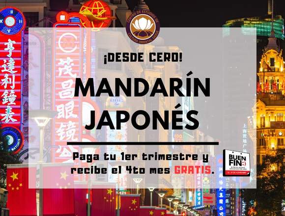 JAPONES DESDE CERO NUEVO SABATINO