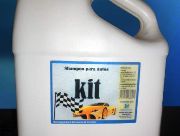 Shampoo para Auto AUTO KIT Marca Dg Galón 