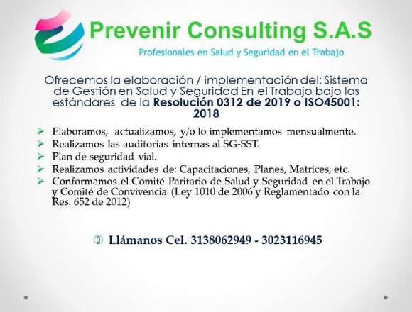 SISTEMAS GESTIÓN SALUD Y SEGURIDAD EN EL TRABAJO