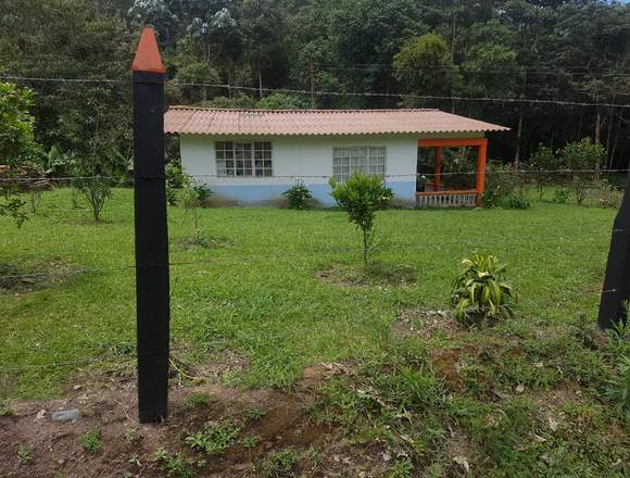 VENDO HERMOSA CASA CAMPESTRE