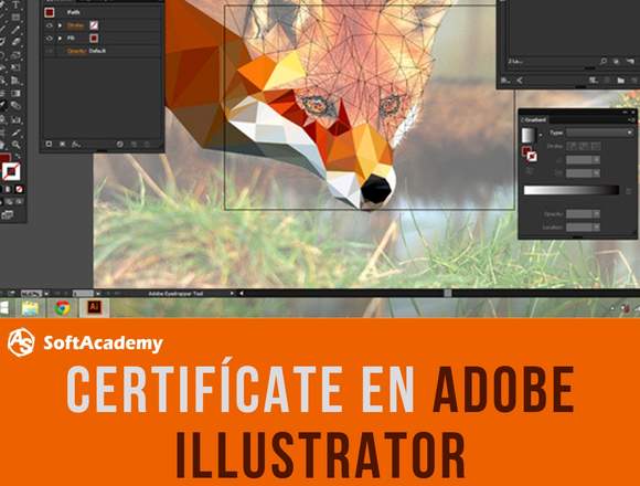 CURSO CEERTIFICADO DE ADOBE ILLUSTRATOR