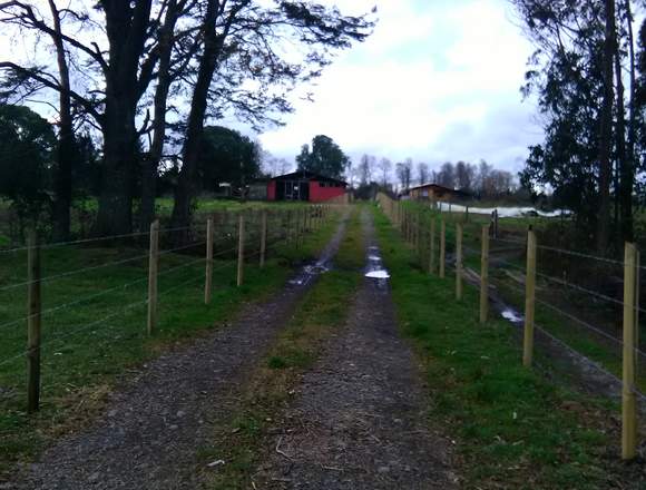 Osorno,terreno de 13,10 hectáreas