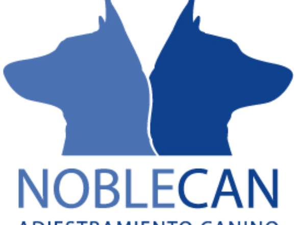 NOBLECAN Adiestramiento canino en Madrid