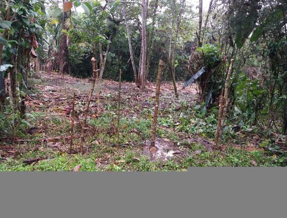 TERRENO EN MINDO CERCA AL MARIPOSARIO