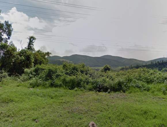 Terreno En Granada Cundinamarca