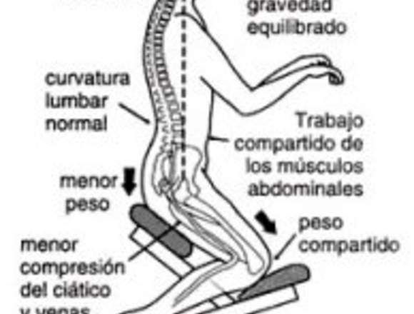 Sillas ergonómicas para trabajar sentado 