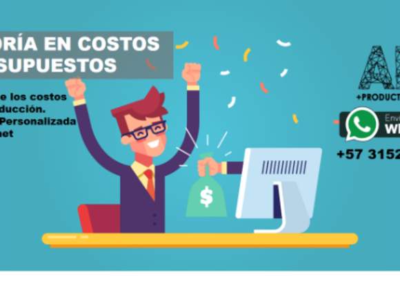 Asesoría en costos y presupuestos 