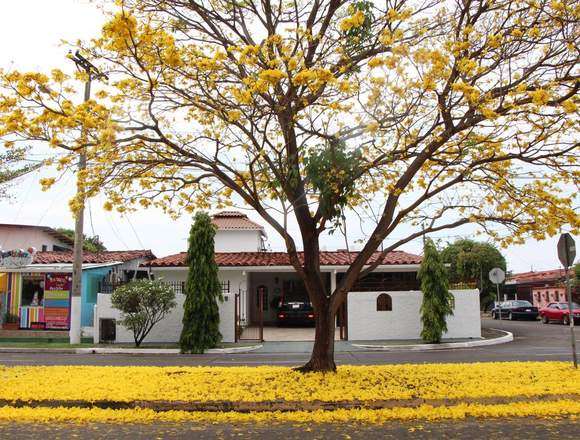 ALQUILO CASA EN ROMERAL CON TEATRO Y JACUZZI-CR