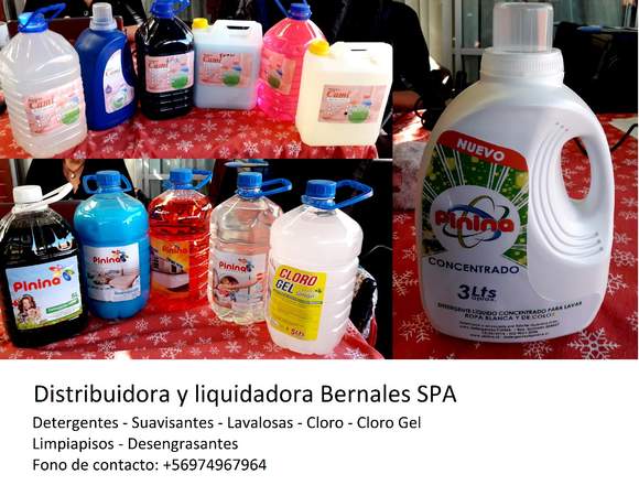 Detergentes de todos para tu casa y oficina