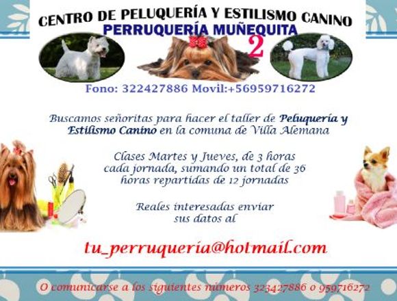 TALLER DE PELUQUERÍA Y ESTILISMO CANINO|