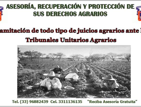 Abogados Agrarios en Guadalajara