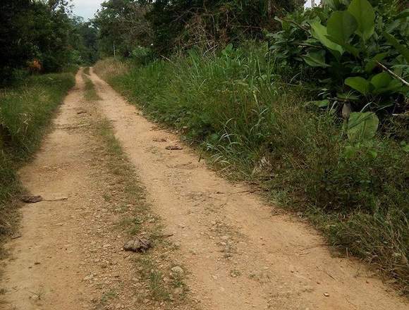 VENDO UNA HECTAREA DE TERRENO PUERTO QUITO.