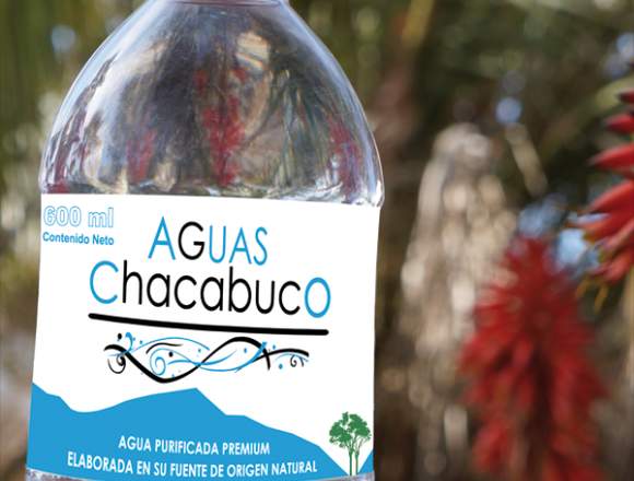 agua purificada botella de 600 ml