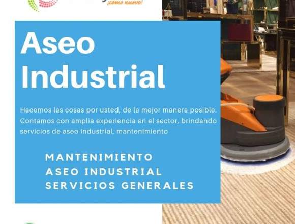 Servicios de aseo industrial